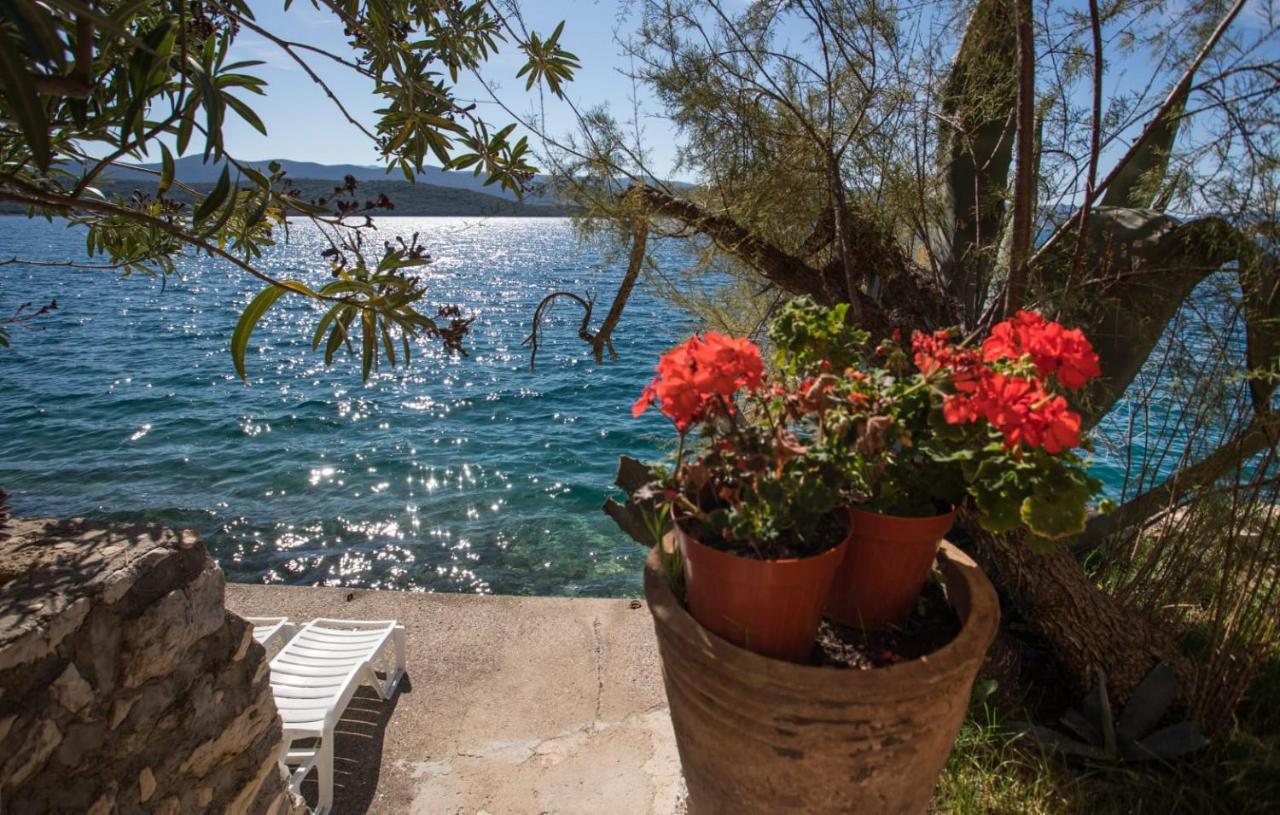 Apartmani Nikoletic Klek Kültér fotó